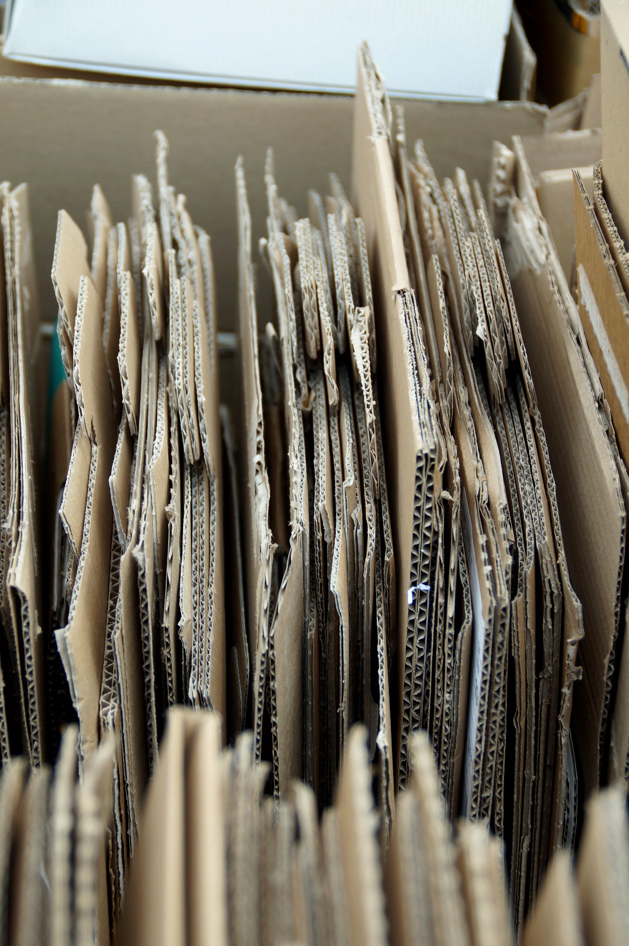 Ofuss carton 6650721 1920