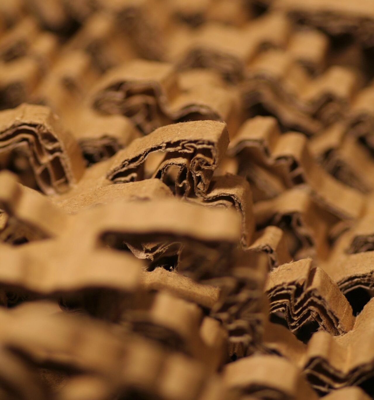 Ylloh packaging 3981072 1920 e1773428545830