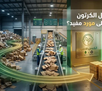 كيف تحول الكرتون من عبء إلى مورد مفيد؟